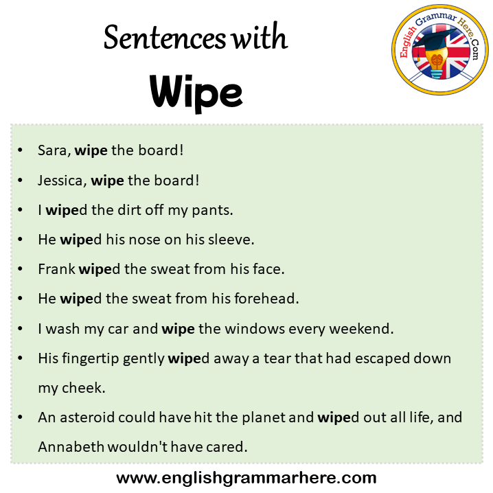 Wipe In A Sentence