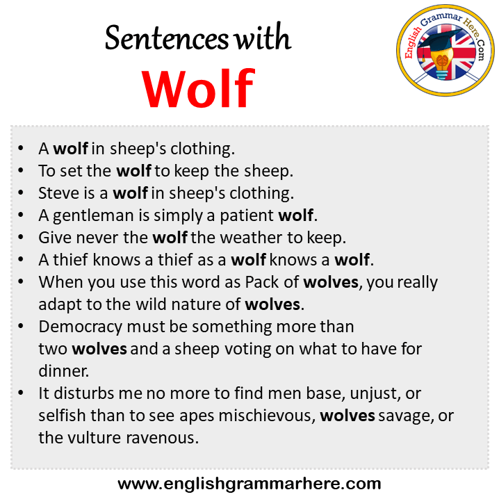 Sentences with Wolf, Wolf in a Sentence in English, Sentences For Wolf
