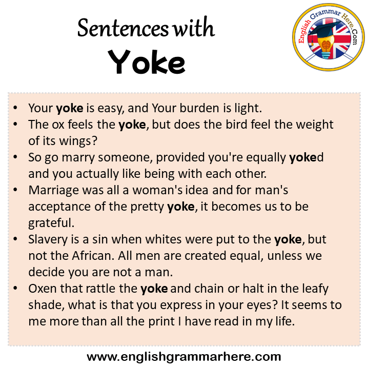 Sentences with Yoke, Yoke in a Sentence in English, Sentences For Yoke
