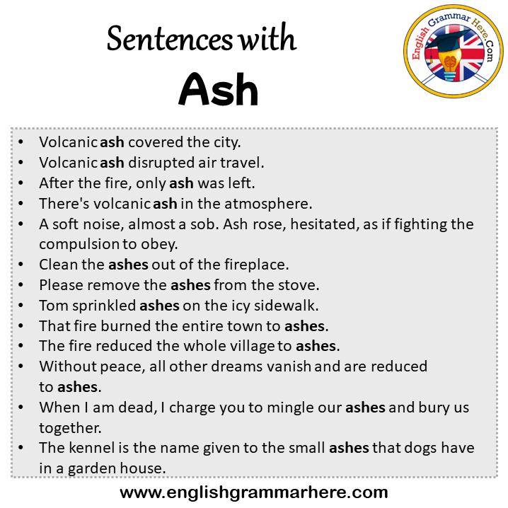 Sentences with Ash, Ash in a Sentence in English, Sentences For Ash