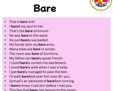 Sentences For Bare Archives - English Grammar Here