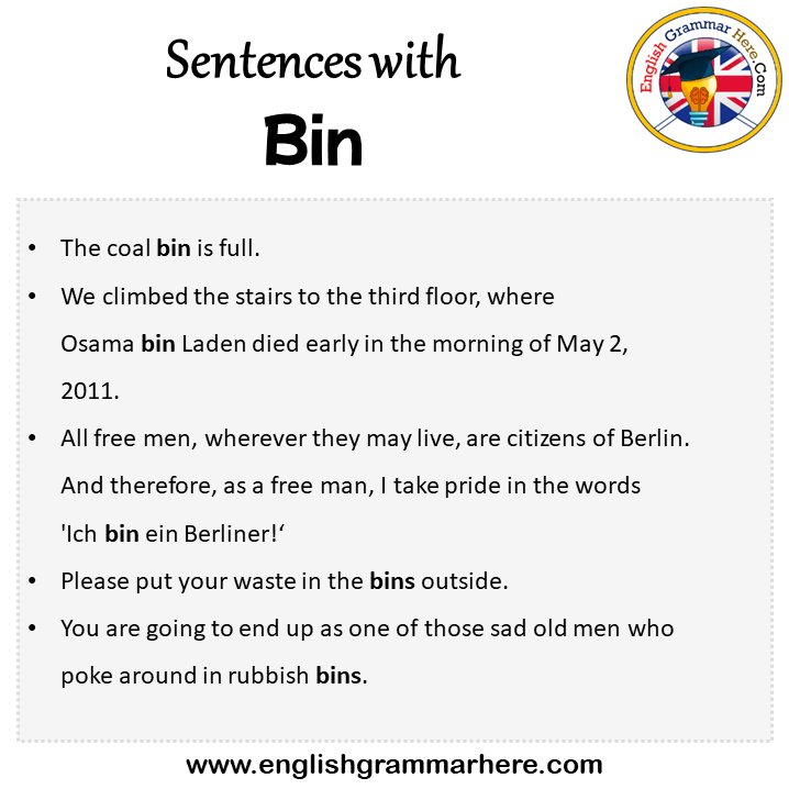 Sentences with Bin, Bin in a Sentence in English, Sentences For Bin