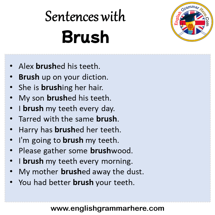 Sentences with Brush, Brush in a Sentence in English, Sentences For Brush