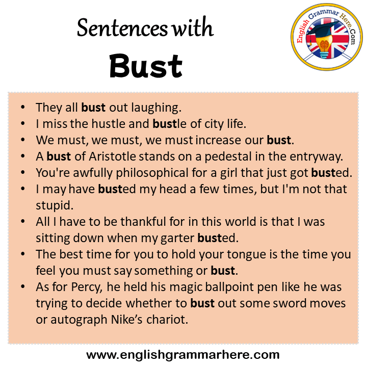 Sentences with Bust, Bust in a Sentence in English, Sentences For Bust