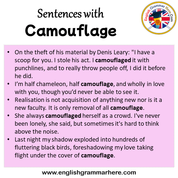 Sentences with Camouflage, Camouflage in a Sentence in English, Sentences For Camouflage