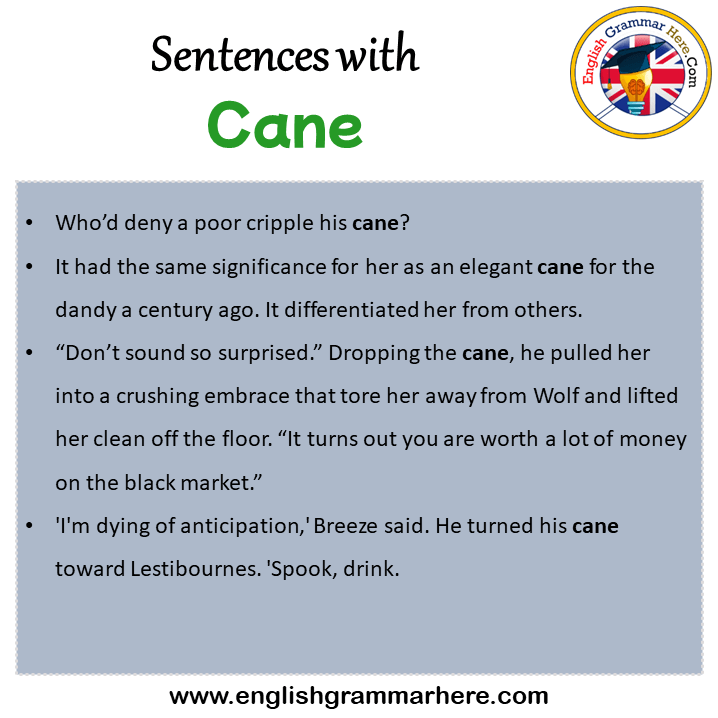 Sentences with Cane, Cane in a Sentence in English, Sentences For Cane