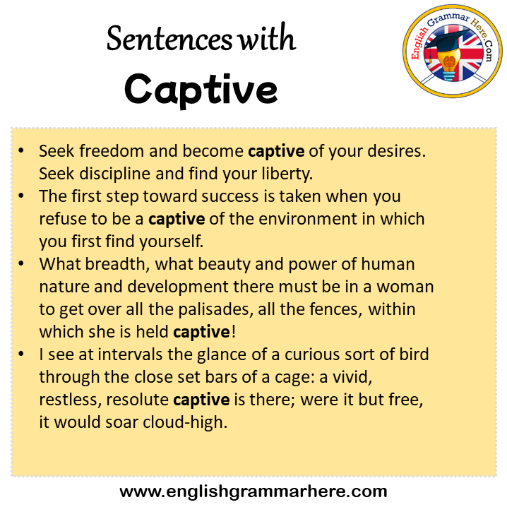 Sentences with Captive, Captive in a Sentence in English, Sentences For Captive