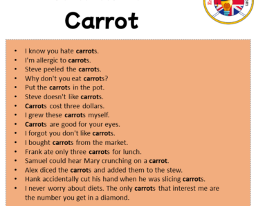 Example Riddle About Carrots Sentences with Carrot Archives - English Grammar Here