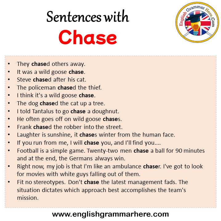 Sentences with Chase, Chase in a Sentence in English, Sentences For Chase