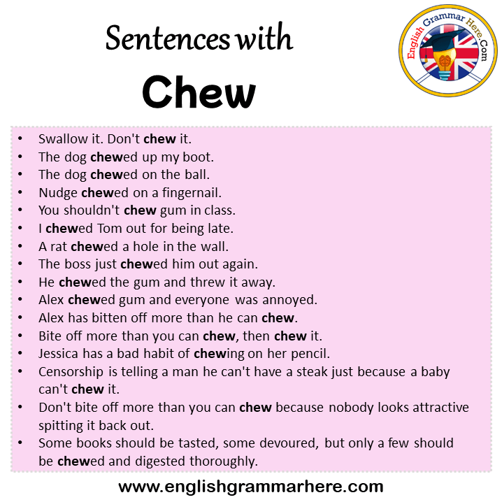 Sentences with Chew, Chew in a Sentence in English, Sentences For Chew