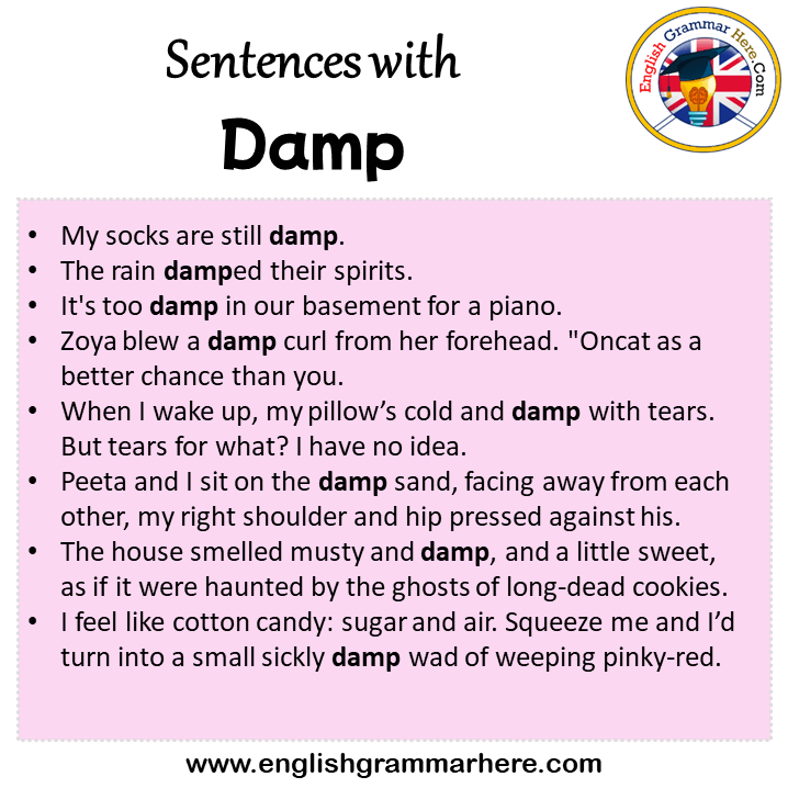 Sentences with Damp, Damp in a Sentence in English, Sentences For Damp