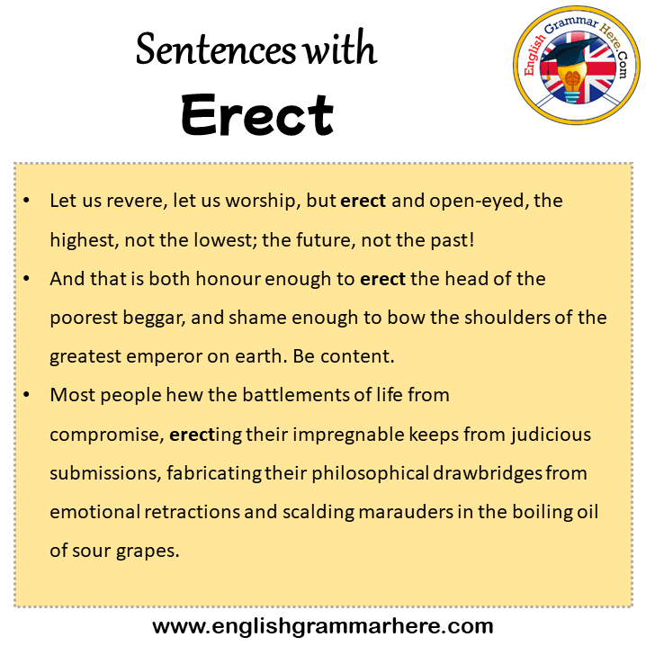 Sentences with Erect, Erect in a Sentence in English, Sentences For Erect