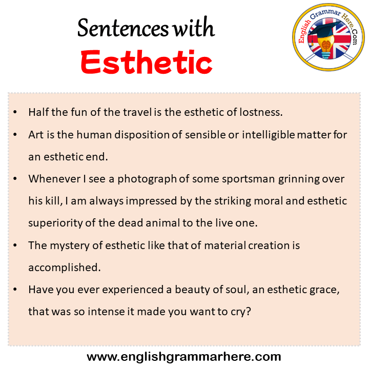 Sentences with Esthetic, Esthetic in a Sentence in English, Sentences For Esthetic