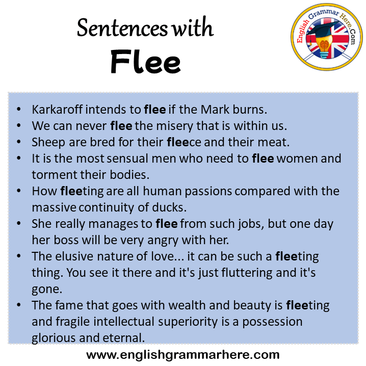 Sentences with Flee, Flee in a Sentence in English, Sentences For Flee