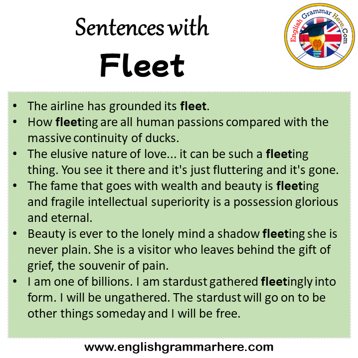 Sentences with Fleet, Fleet in a Sentence in English, Sentences For Fleet