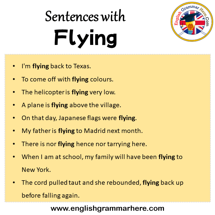 flying visit idiom sentence