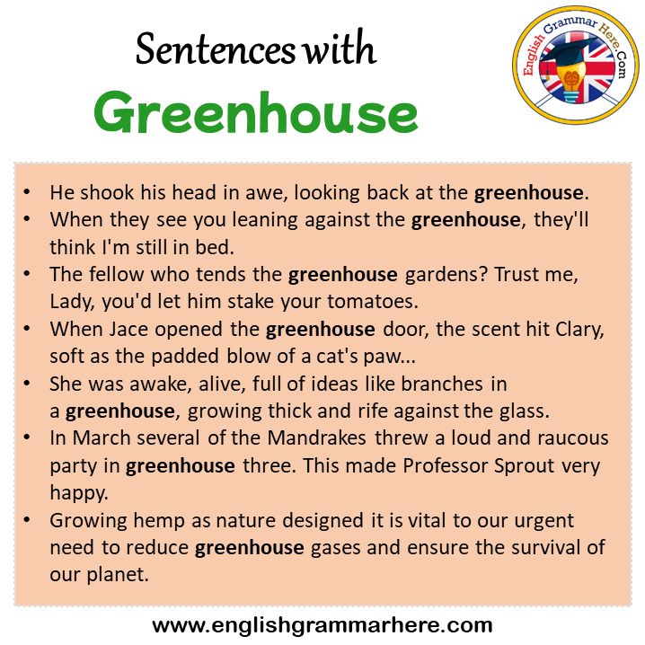 Sentences with Greenhouse, Greenhouse in a Sentence in English, Sentences For Greenhouse