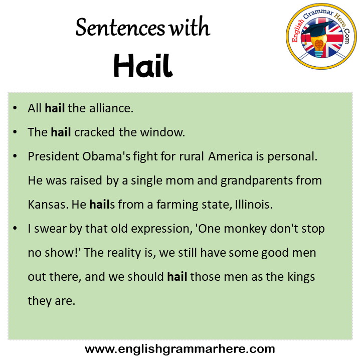Sentences with Hail, Hail in a Sentence in English, Sentences For Hail
