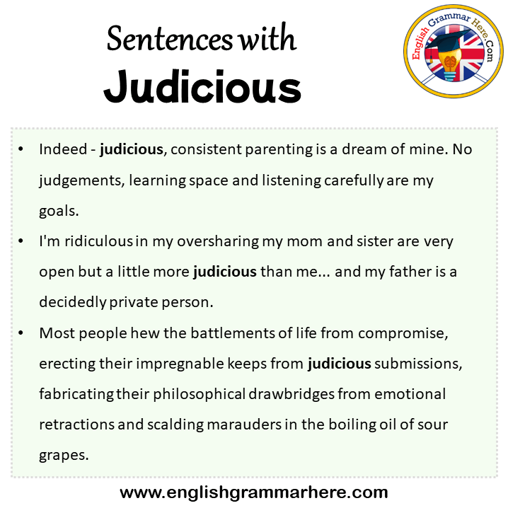 Sentences with Judicious, Judicious in a Sentence in English, Sentences For Judicious