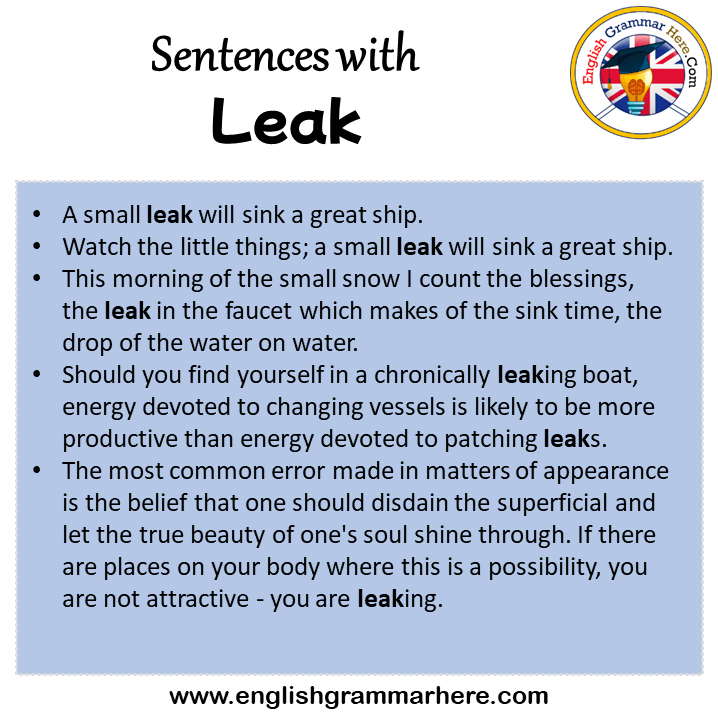 Sentences with Leak, Leak in a Sentence in English, Sentences For Leak