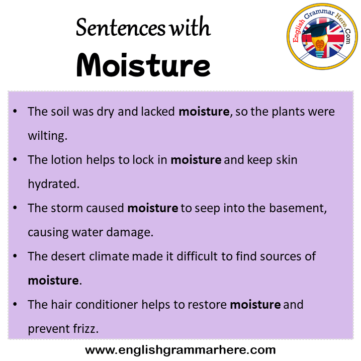 Sentences with Moisture, Moisture in a Sentence in English, Sentences For Moisture