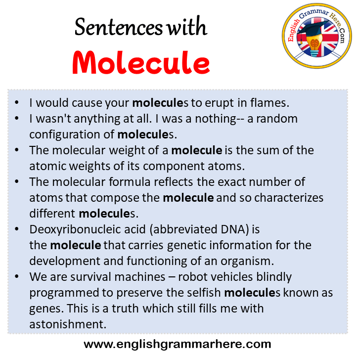 Sentences with Molecule, Molecule in a Sentence in English, Sentences For Molecule