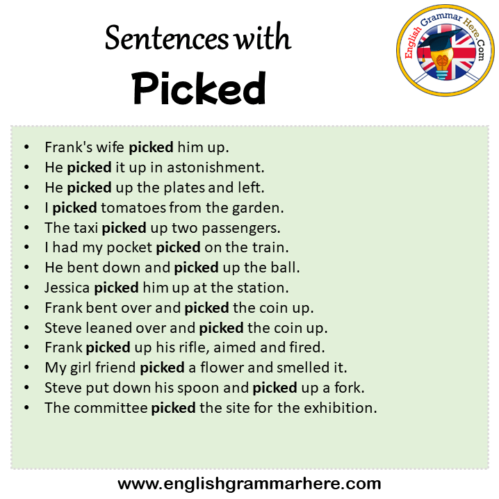 Sentences with Picked, Picked in a Sentence in English, Sentences For Picked