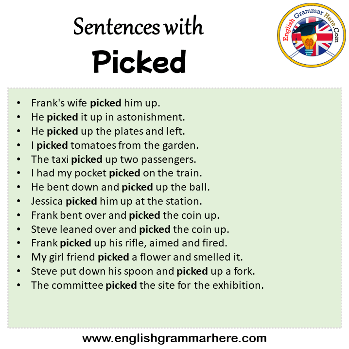 Sentences With Picked Picked In A Sentence In English Sentences For Picked 