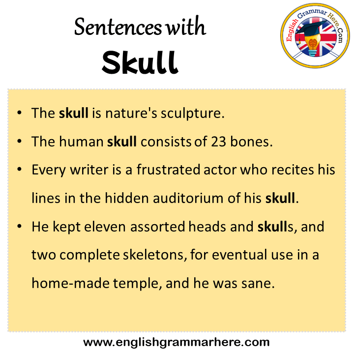 Sentences with Skull, Skull in a Sentence in English, Sentences For Skull