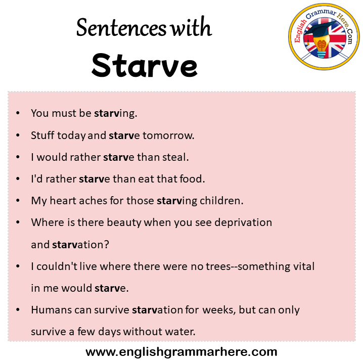 Sentences with Starve, Starve in a Sentence in English, Sentences For Starve