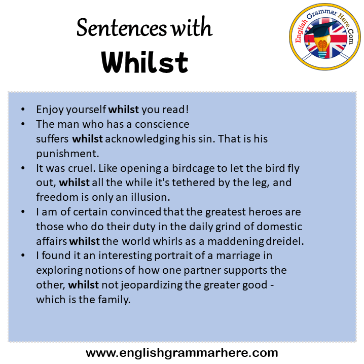 Sentences with Whilst, Whilst in a Sentence in English, Sentences For  Whilst - English Grammar Here
