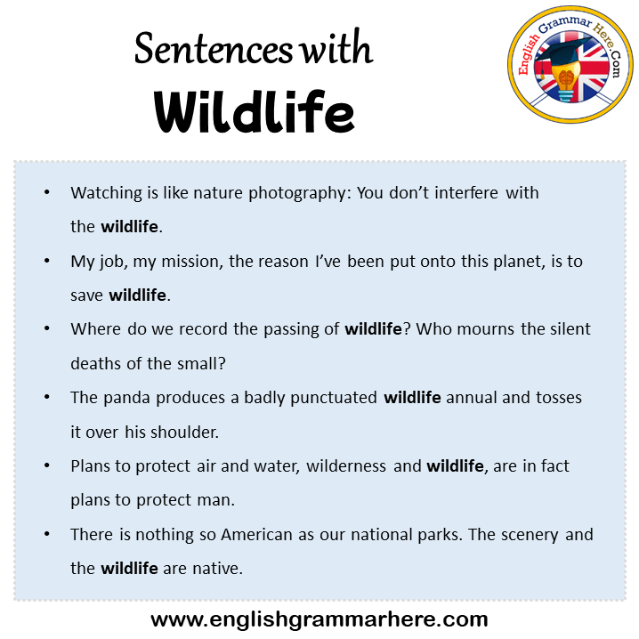 Sentences with Wildlife, Wildlife in a Sentence in English, Sentences For Wildlife