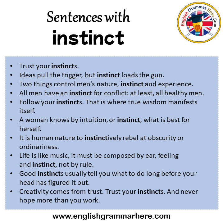 Sentences with instinct, instinct in a Sentence in English, Sentences For instinct