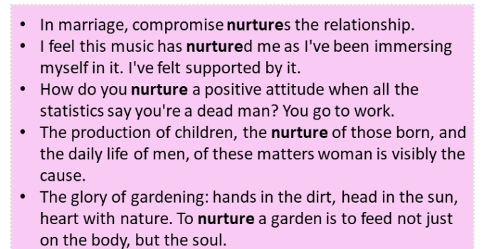 Sentences with Nurture, Nurture in a Sentence in English, Sentences For Nurture