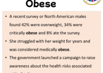 Sentences with Obese, Obese in a Sentence in English, Sentences For Obese