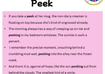 Sentences with Peek, Peek in a Sentence in English, Sentences For Peek