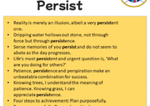 Sentences with Persist, Persist in a Sentence in English, Sentences For Persist