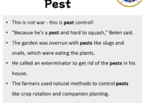 Sentences with Pest, Pest in a Sentence in English, Sentences For Pest