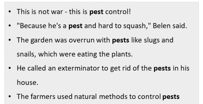 Sentences with Pest, Pest in a Sentence in English, Sentences For Pest