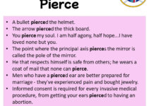 Sentences with Pierce, Pierce in a Sentence in English, Sentences For Pierce