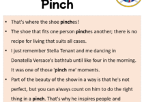 Sentences with Pinch, Pinch in a Sentence in English, Sentences For Pinch