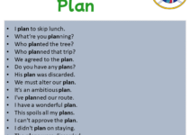 Sentences with Plan, Plan in a Sentence in English, Sentences For Plan