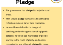 Sentences with Pledge, Pledge in a Sentence in English, Sentences For Pledge