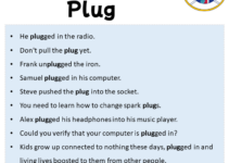 Sentences with Plug, Plug in a Sentence in English, Sentences For Plug