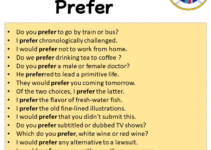 Sentences with Prefer, Prefer in a Sentence in English, Sentences For Prefer