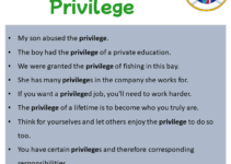 Sentences with Privilege, Privilege in a Sentence in English, Sentences For Privilege