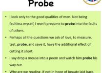 Sentences with Probe, Probe in a Sentence in English, Sentences For Probe