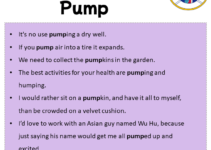 Sentences with Pump, Pump in a Sentence in English, Sentences For Pump