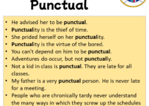 Sentences with Punctual, Punctual in a Sentence in English, Sentences For Punctual