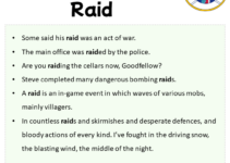 Sentences with Raid, Raid in a Sentence in English, Sentences For Raid